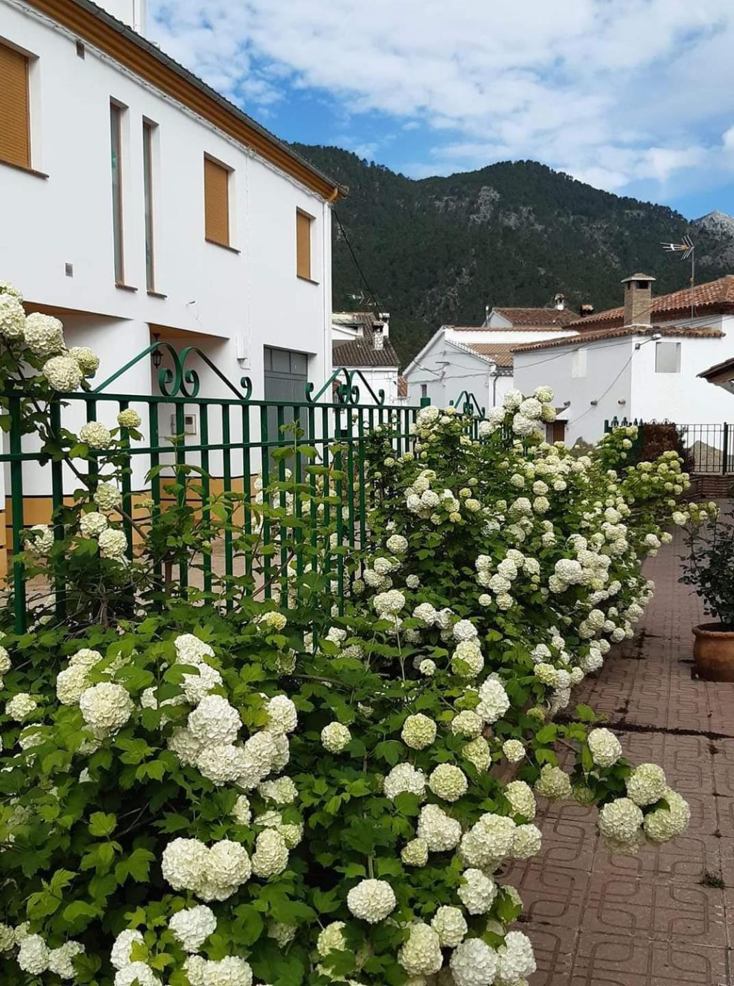 Albergue Ruta Rio Borosa Coto Rios Exterior foto
